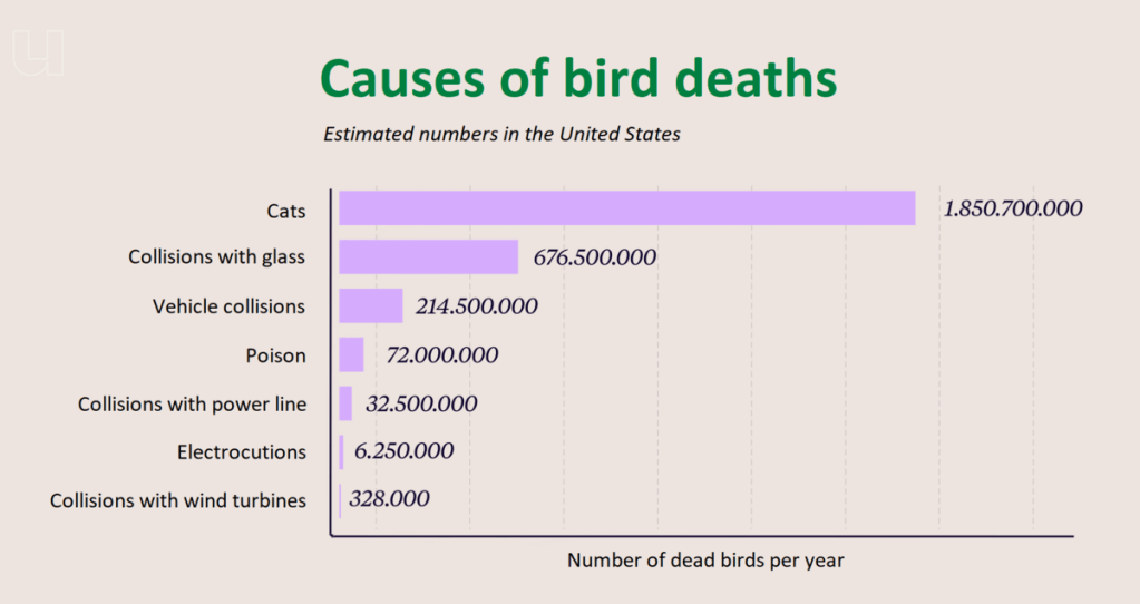 The graph shows that Wind Turbines kill 328,000 birds per year in the US, Electrocutions kill 6,250,000 birds, Collisions with powerlines kill 32,500,000 birds, Poison kills 72,000,000 birds, Vehicle collisions kill 214,500,000 birds, Collisions with glass kill 676,500,000 birds, and cats kill 1,850,700,000 birds per year in the US.