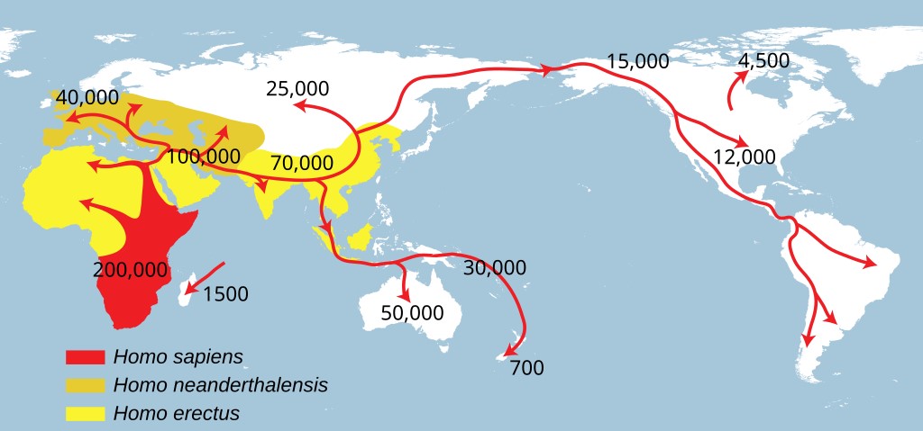 A world map showing portions of Africa being yellow and red, and portions of Asia being yellow and dark yellow with red arrows representing migrating Homo Sapiens. The map features several time markers representing the arrival of Homo Sapiens | Neanderthals Never Lived in Africa