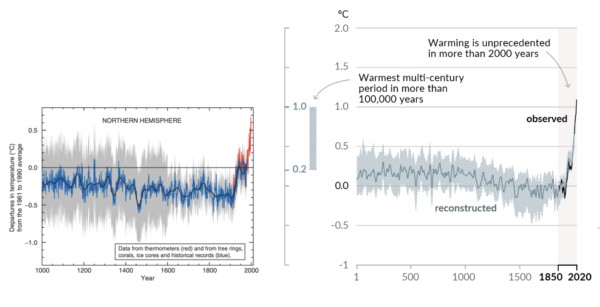 On the left is the original MBH 1998/1999 hockey stick curve extending back 1,000 years and, on the right, a more recent reconstruction extending back 2,000 years. The curves look like each other but the more recent one looks even more like a hockey stick | The Hockey Stick Graph is not Wrong