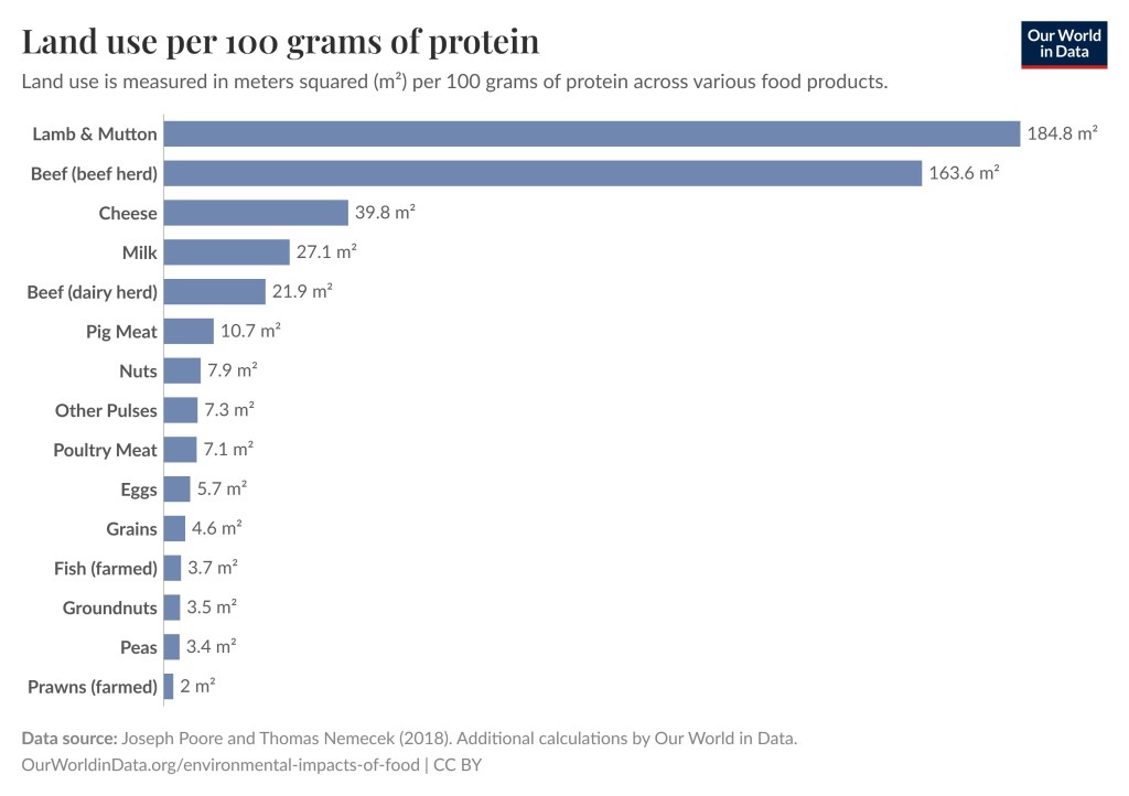 The graph shows that for 100 grams of protein you need on average 184.8 square meters for Lamb & Mutton, 163.6 square meters for beef, 39.8 square meters for cheese, 27.1 square meters for milk, 7.9 square meters for nuts, 4.6 square meters for grains, and 3.5 square meters for groundnuts. There are a few more items listed in the graph | Eating Organic is not Necessarily Ecological