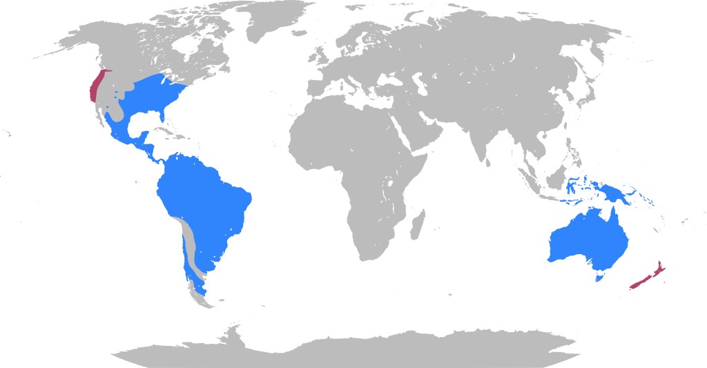 The image shows the distribution of marsupials being Australia, south America and parts of North America.