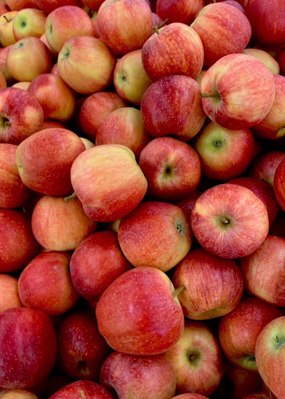 Lots of apples | Eating Locally is not Necessarily Ecological