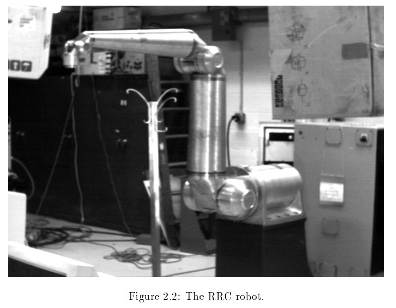 Robotics And Leonberger&nbsp;Dogs