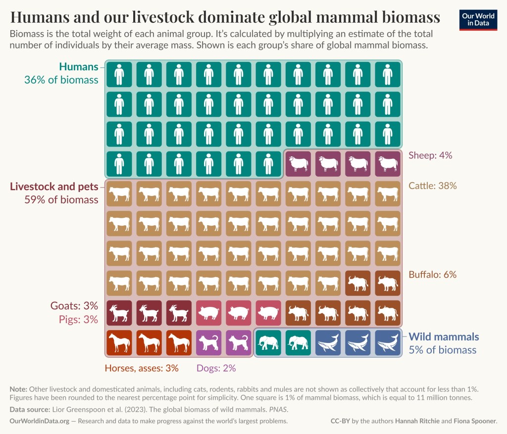 Humans are 36% of the mammal biomass, Sheep is 4%, Livestock and pets 59%, including 2% dogs, 3% pigs, goats 3%, cattle 38%, and buffalo 6%