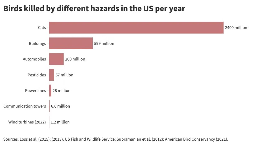Bar graph showing cats killing an estimated 2,400 million birds per year, buildings killing an estimated 599 million birds per year, automobiles killing an estimated 200 million birds per year, pesticides killing an estimated 67 million birds per year, powerlines killing an estimated 28 million birds per year, communication towers killing an estimated 6.6 million birds per year, and wind turbines killing an estimated 1.2 million birds per year. 
