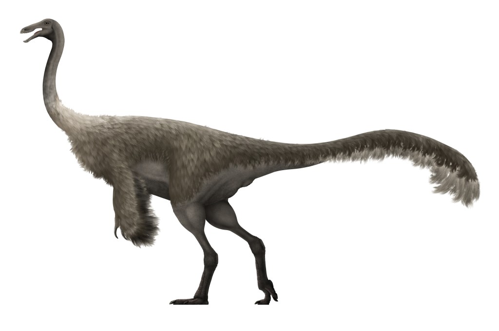 A Gallimimus dinosaur covered in hair and feathers.