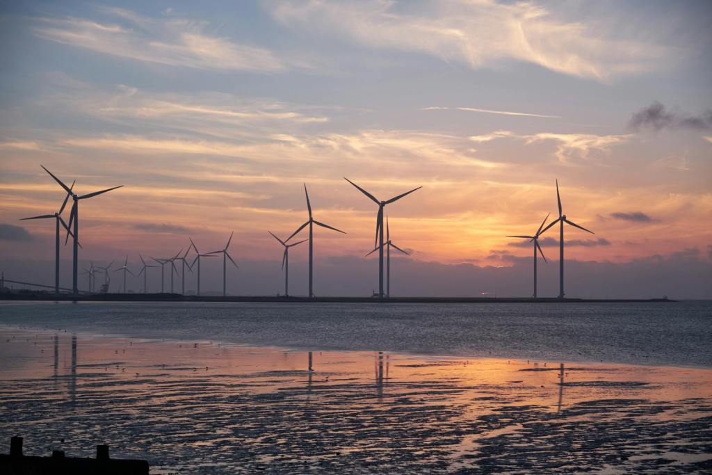 Wind power turbines by the seashore. The sun is setting.