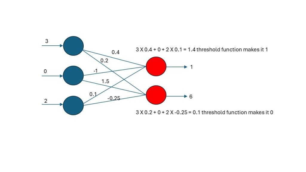 Three blue circles connected to two red circles via lines assigned weights.