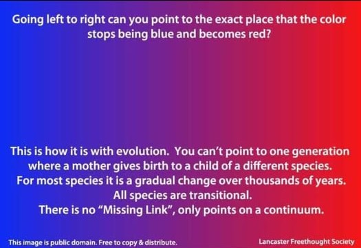 Blue color on the left slowly fading into the red color on the right. | There is Strong Evidence for Macroevolution