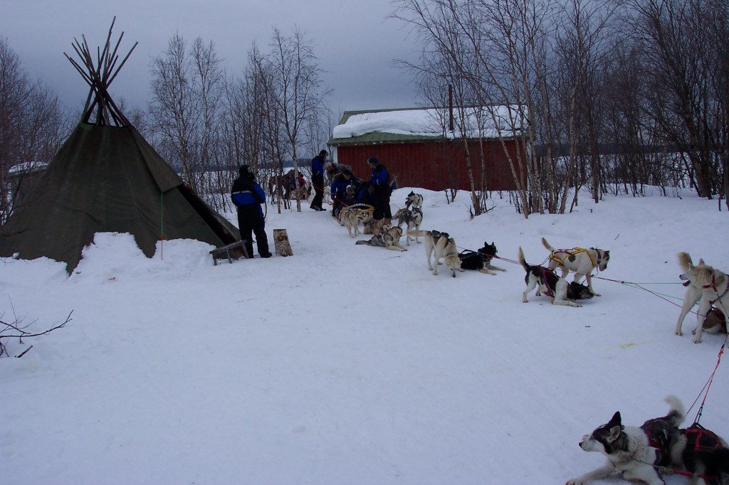 The photos show a dogsled with dogs and some people. The kåta on the left is pretty prominent in this photo.