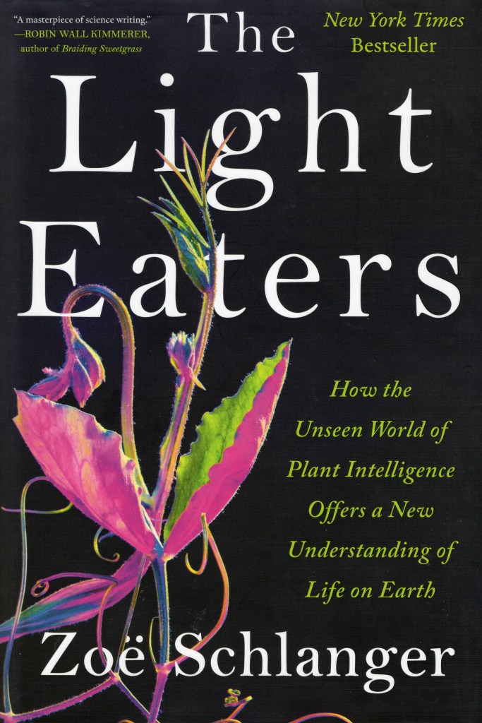 The front cover features a plant on a black background, the title and author of the book and the phrase “How the Unseen World of Plant Intelligence Offers a New Understanding of Life on Earth”.