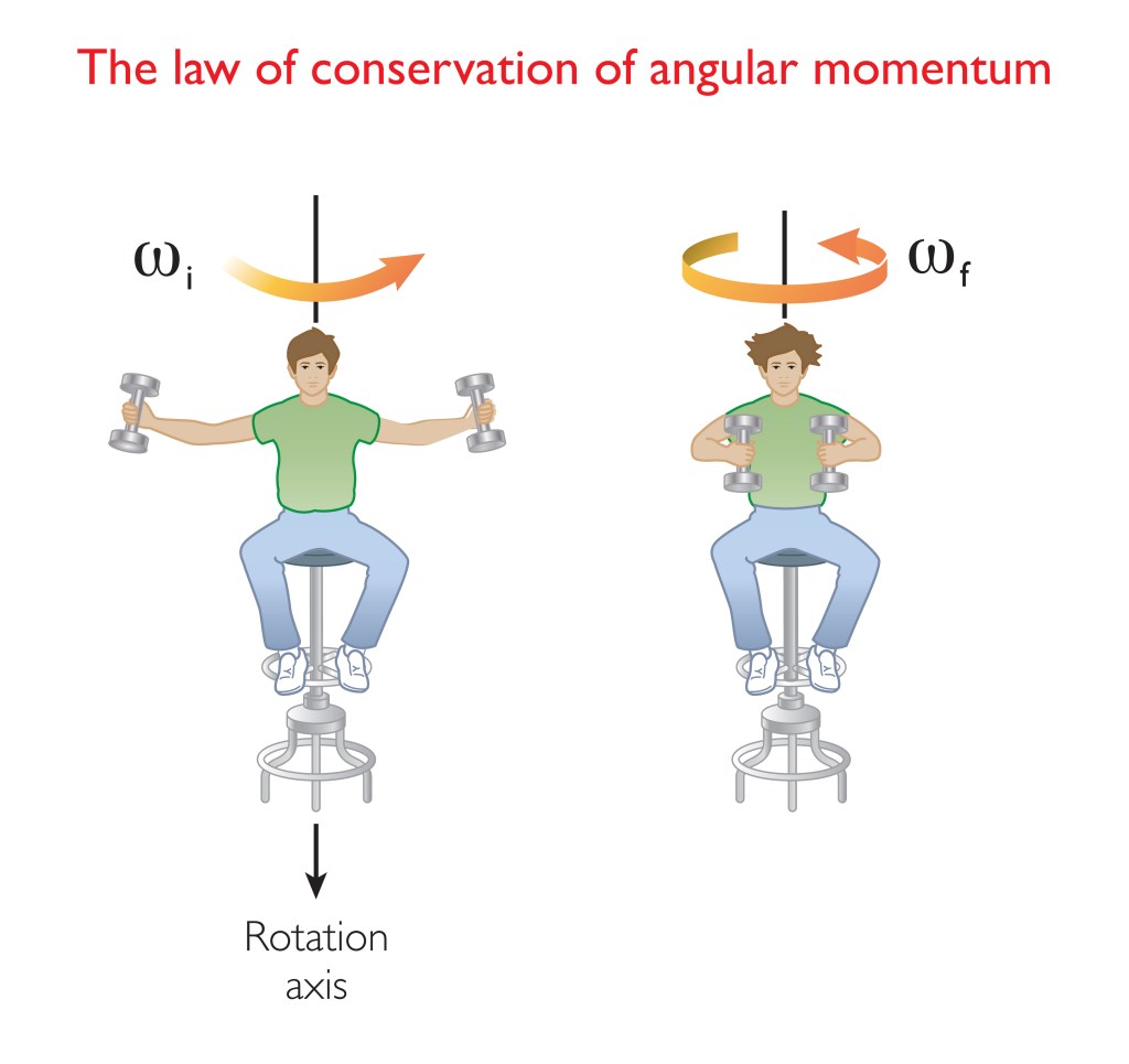 On the left the illustration shows a man sitting on a rotating chair with his hands stretched out. In his hands he is holding dumbbells. The right side of the illustration depicts him bringing his hands close to his body resulting in the rotation speeding up. This is an example of the law of conversation of angular momentum.