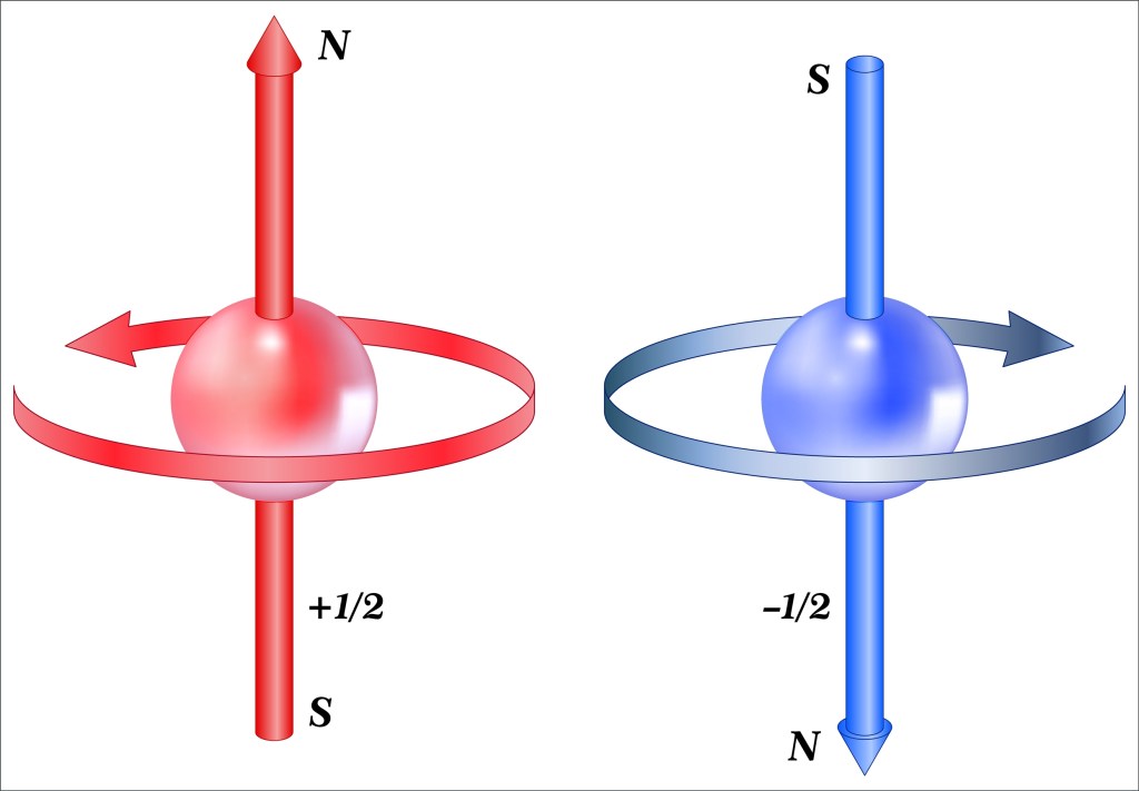 The picture shows a red ball representing a particle with +1/2 spin and a blue particle with -1/2 spin. The red spinning ball creates a magnetic dipole with the north pointing up and the south down. The spinning blue ball does the opposite.