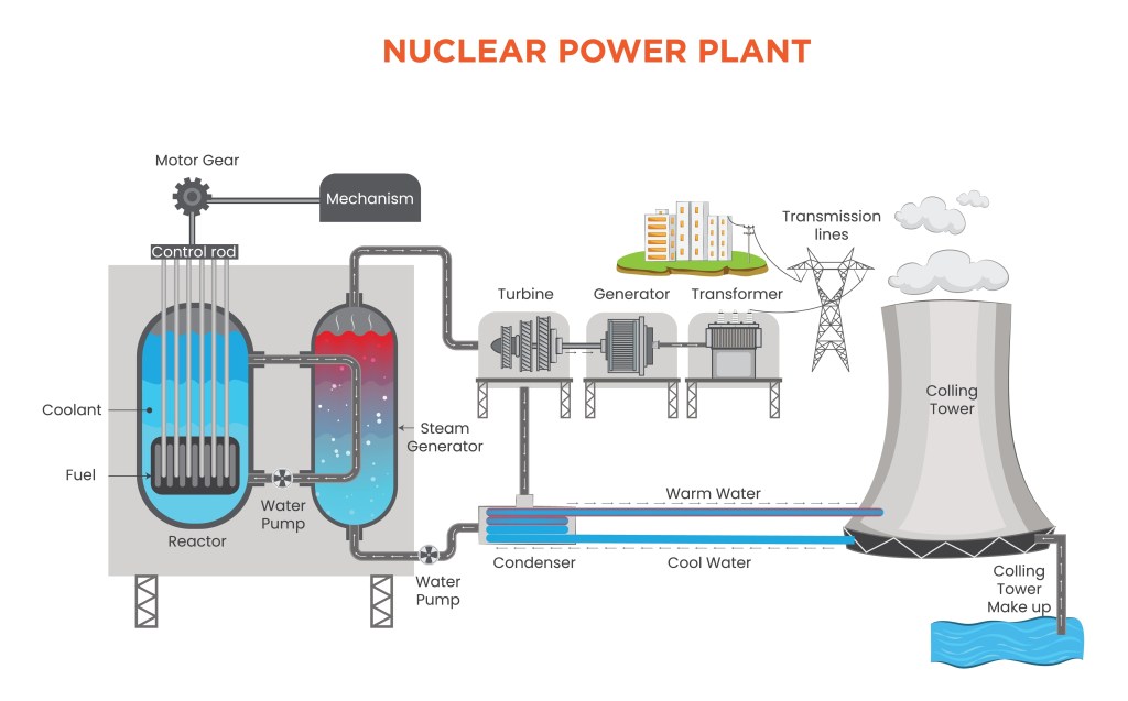 Fission generates heat, which generates high pressure steam, which pushes a turbine around, which turns a generator, which generates electricity, which is transformed to the right voltage and delivered to customers. The picture also shows a cooling tower and illustrates how a nuclear plant uses water.