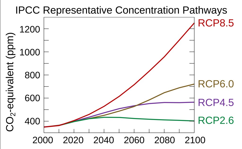 The graph shows four scenarios RCP2.6, RCP4.5, RCP6.0, RCP8.5, each corresponding to different concentrations of CO2. The Y-axis shows the amount of CO2 in the atmosphere going from 300 ppm to 1300 ppm. The X-axis corresponds to the years going from year 2000 to the year 2100.