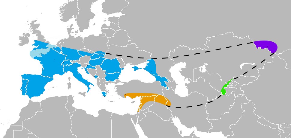 This map of Europe and West Asia shows the region where Neanderthals have been found.