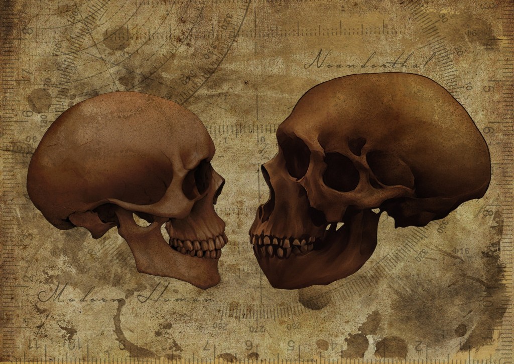 Two skulls facing each other. Art Study - Old Textured Paper Vintage Antique Poster style (Vintage Version).