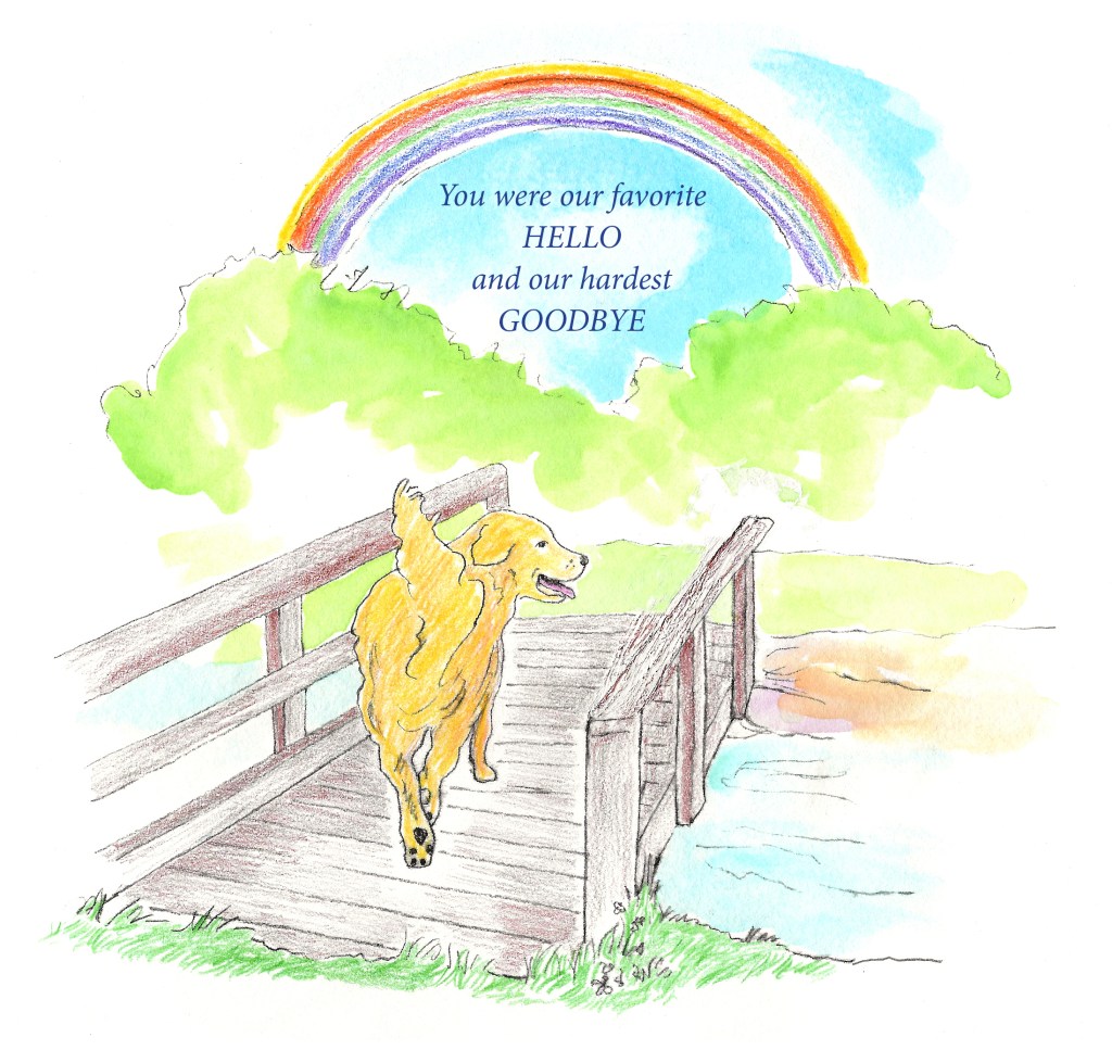 A labrador is walking across the rainbow bridge. The text says “You were our favorite Hello and our hardest Goodbye.”