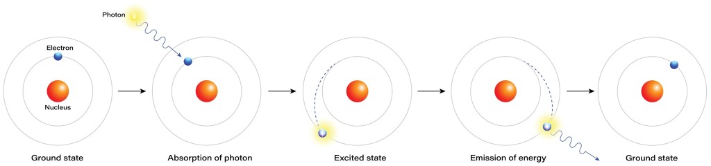 From left to right, an atom absorbs a photon, which excites an electron that jumps into a higher orbit. Then it emits a photon and the electron falls back to the ground state again.