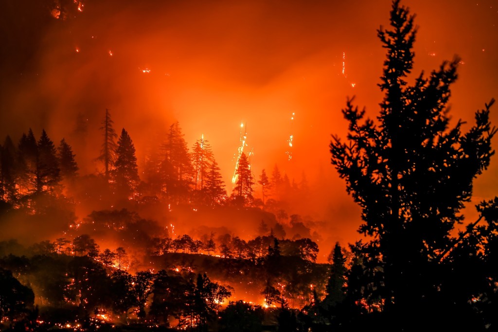 Forest burning wildly. The entire picture is just intense fire. | Climate change worsens wildfires Globally and Human land-Use Changes Reduces them
