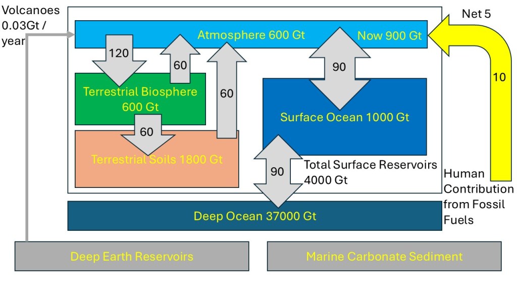 This picture is the same as above with the addition of our recent carbon emissions at 10 Gigaton. Oceans and other systems are absorbing some of it resulting in a net increase of 5 Gigaton per year.