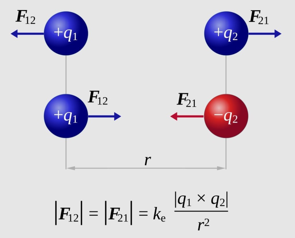 The picture shows the formula of Coulombs law which has the same form as Newton’s law of gravity plus an illustration of a positive and negative charge being attracted to each other and two positively charged particles repulsing each other.