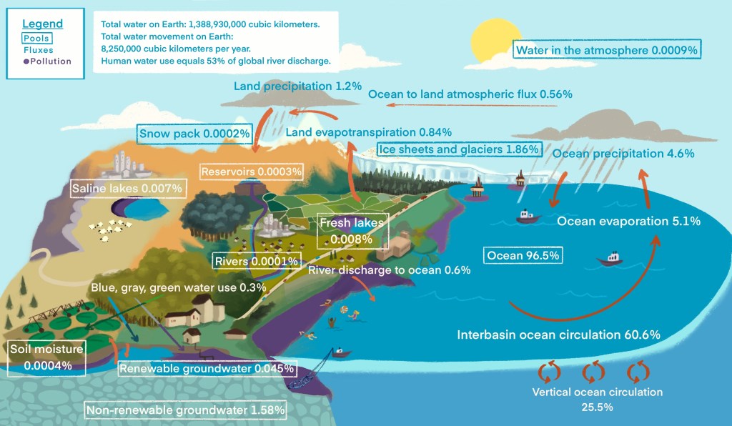 This detailed illustration of the water cycle shows the different fluxes and pools that are part of the water cycle. The percentages and circulation patterns are shown.