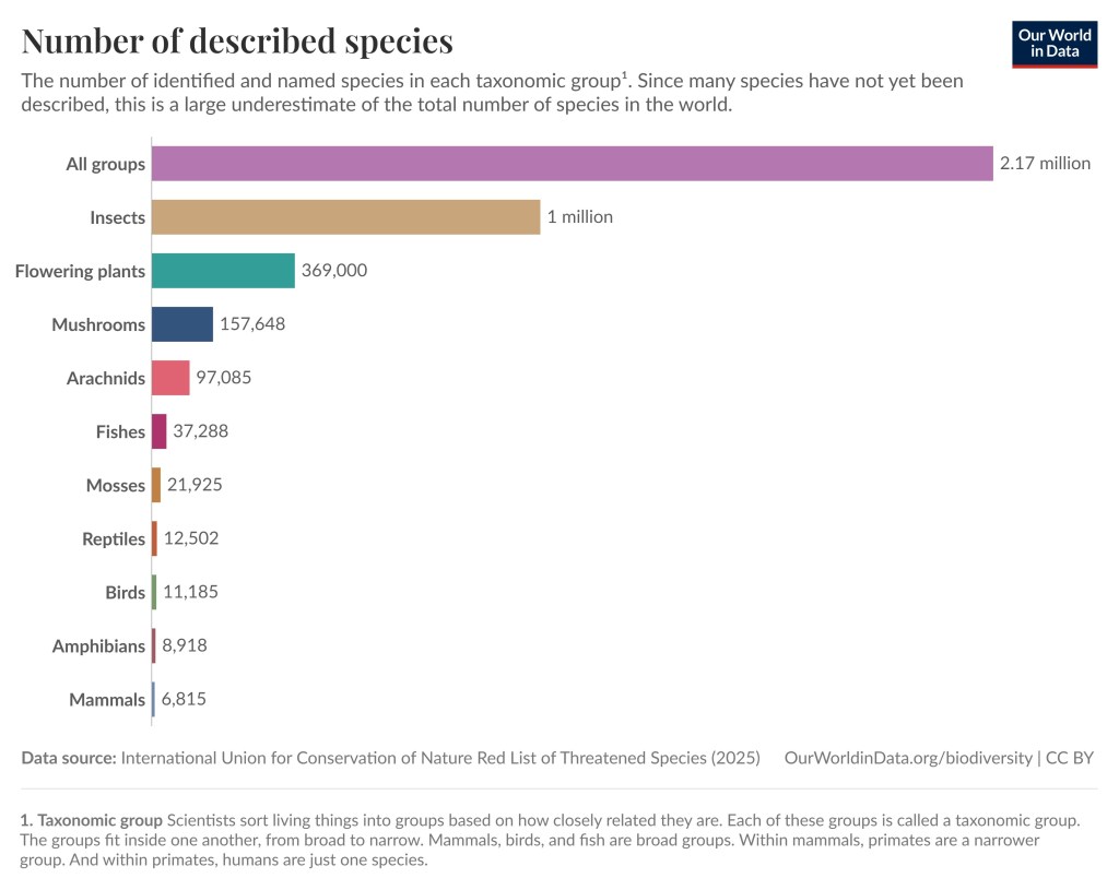 This bar graph feature ten taxonomic groups; Insects (1 million species), Flowering plants (369,000 species), Mushrooms (157,648 species), Arachnids (97,085 species), Fishes (37,288 species), Mosses (21,925 species), Reptiles (12,502 species), Birds (11,185 species), Amphibians (8,918 species), Mammals (6,815 species).