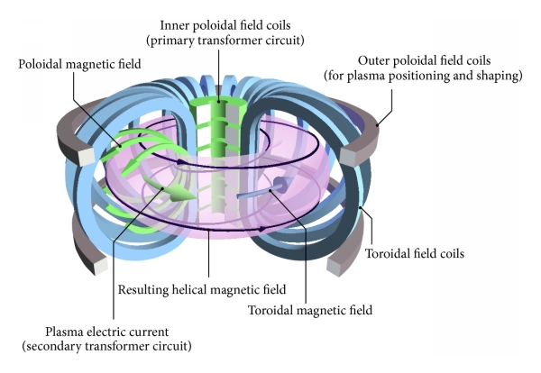 The picture shows inner and outer poloidal field coils and the resulting magnetic fields and currents.