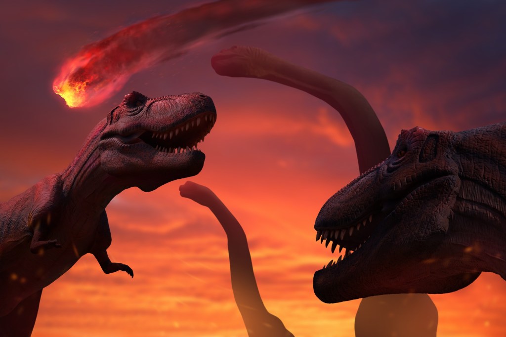 3D illustration showing two carnivorous dinosaurs and two large herbivores looking up at a burning asteroid.